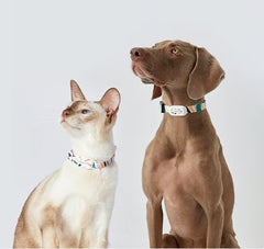 PETKIT Smart Pet Activity Tracker